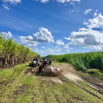 Bayahíbe Buggy and Quad Adventure 13