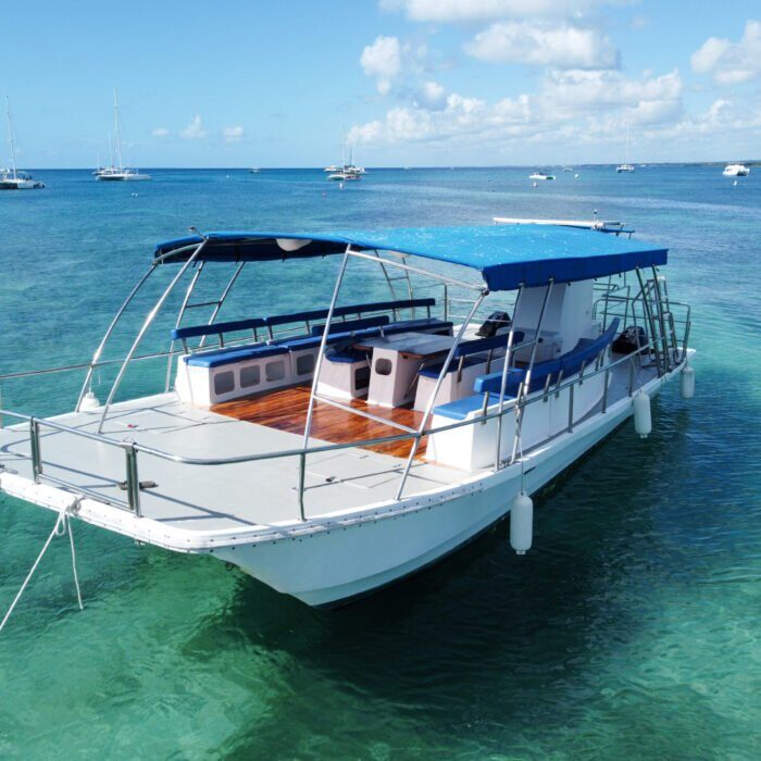 Small-Group Saona Island 8