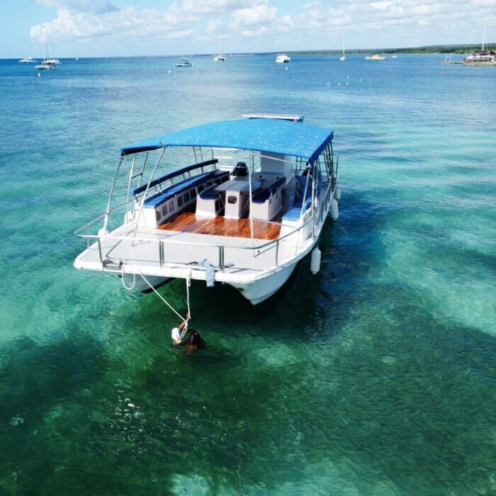 Small-Group Saona Island 7