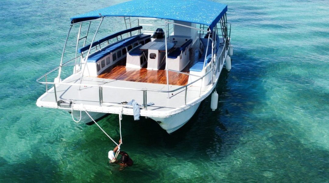 Isla Saona en Grupo Reducido