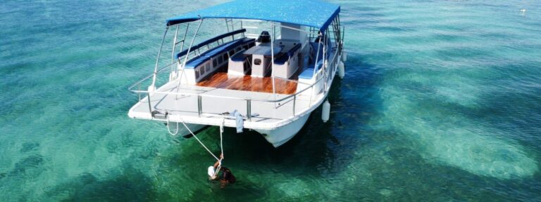 Small-Group Saona Island