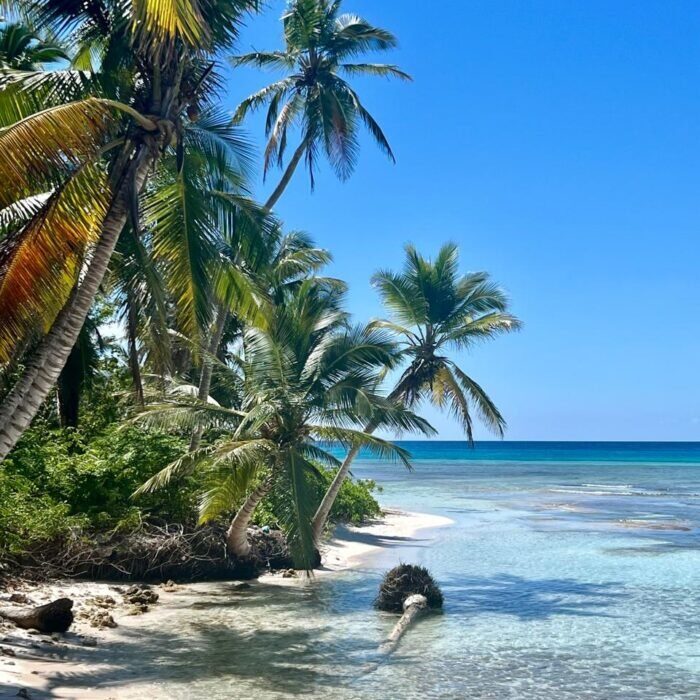 Small-Group Saona Island 14