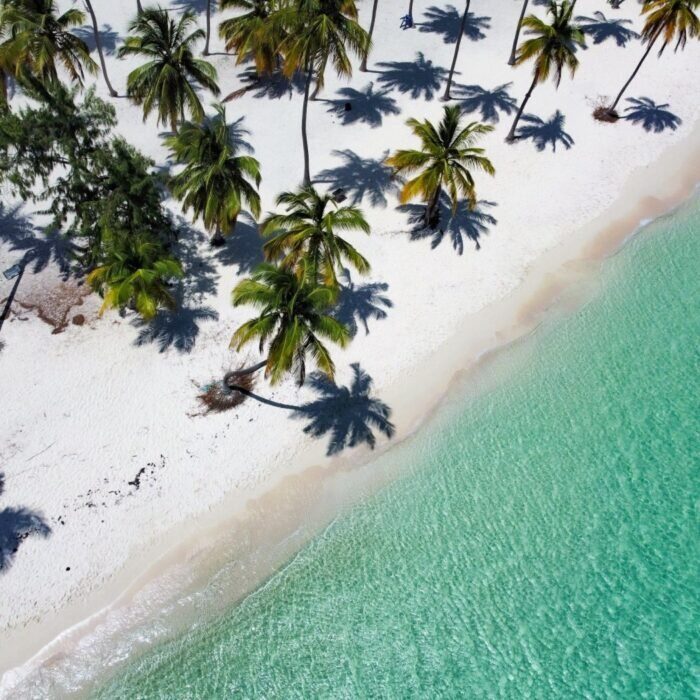 Small-Group Saona Island 13