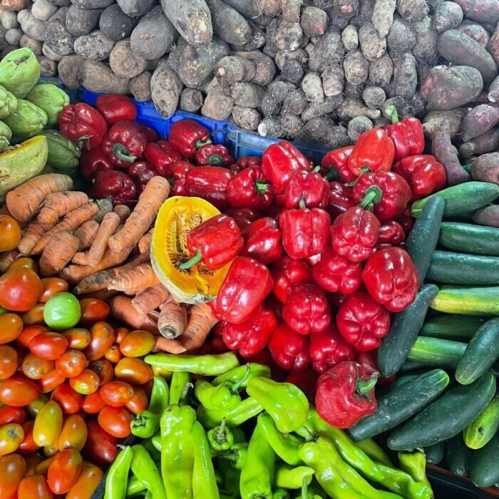 Aventura Safari desde Bayahíbe 2