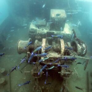 Bayahíbe Semi-Submarine 2