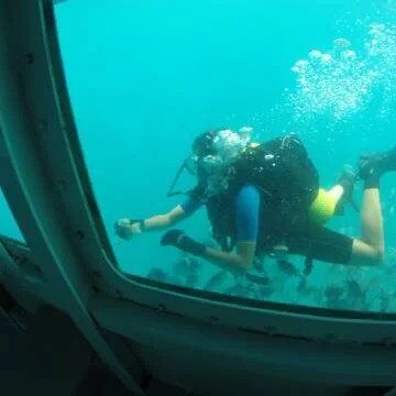 Bayahíbe Semi-Submarine 4