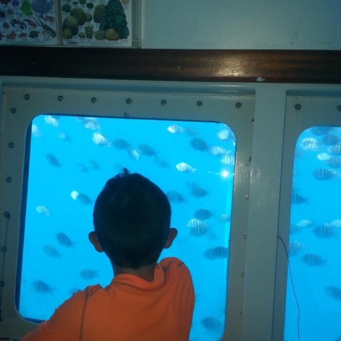 Bayahíbe Semi-Submarine 10