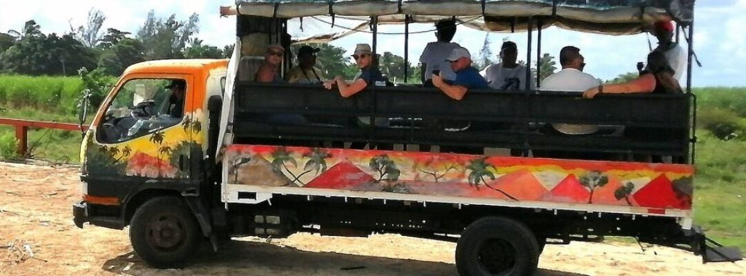 Aventura Safari desde Bayahíbe