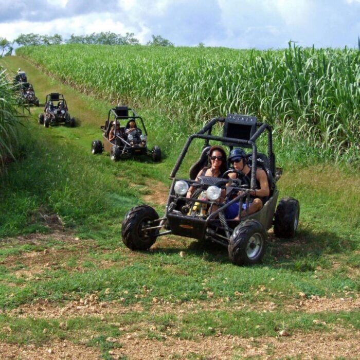 Bayahíbe Buggy and Quad Adventure 8
