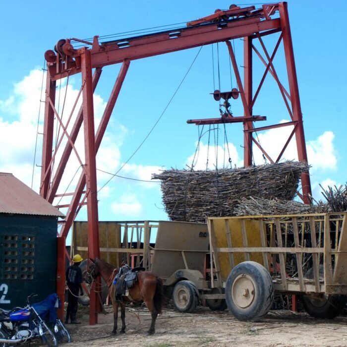 Aventura Safari desde Bayahíbe 7